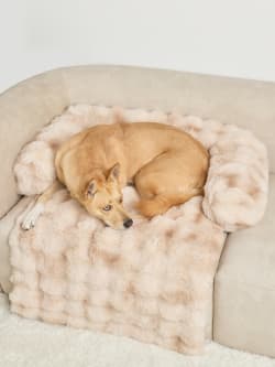 Dream Cloud Pet Sofa Bed