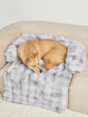 Dream Cloud Pet Sofa Bed: undefined