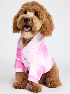 Minimalist Paw Hoodie: Theo is wearing a size M