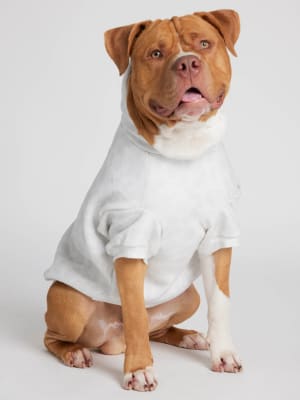 Minimalist Paw Hoodie: Kash is wearing a size 4X