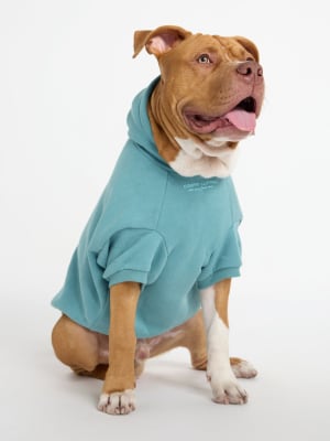 You Matter Paw Hoodie: Kash is wearing a size 4X