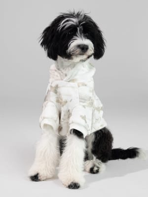 Camo Paw Hoodie: undefined