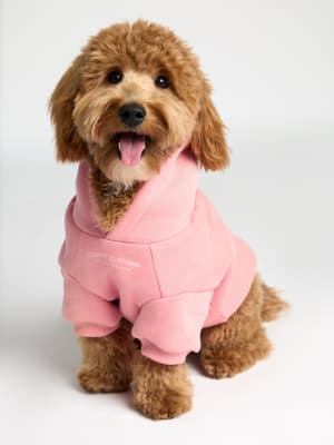 You Matter Paw Hoodie: Theo is wearing a size M