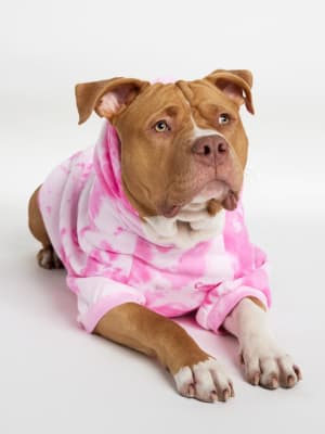 Strawberry Swirl / Kash