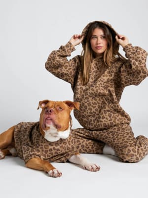 Brown Leopard / Kash